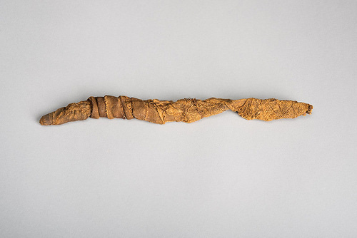 Crocodile Mummy, San Antonio Museum of Art. From Science and Zoo Help Museum with Egyptian Animal Mummy Exhibit
