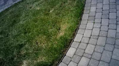 An outdoor video sample.