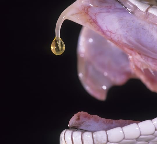 snake venom