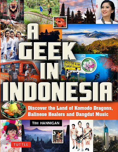A Geek in Indonesia: Discover the Land of Komodo Dragons, Balinese Healers, and Dangdut Music 