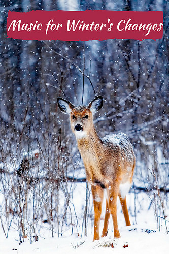 Music for Winter's Changes