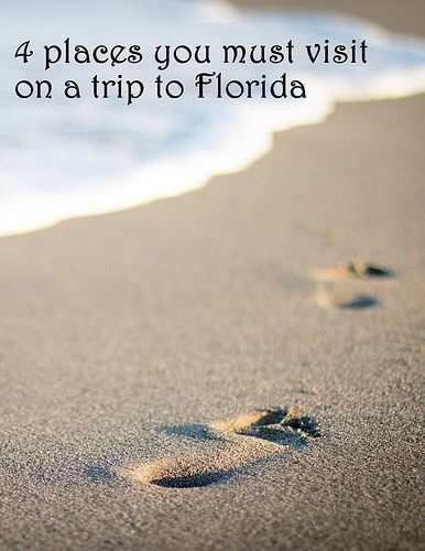 4 places you must visit on a trip to Florida