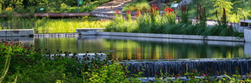 NYBG_NativeGarden2_N_24157-4500-3.1-1600x533