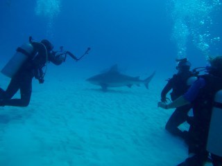 Photographing bull sharks in Mexico with SharkSchool (Photo Credit: Olaf Holzmann)