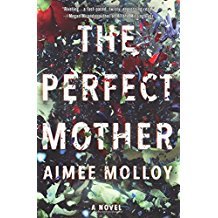 The Perfect Mother: A Novel