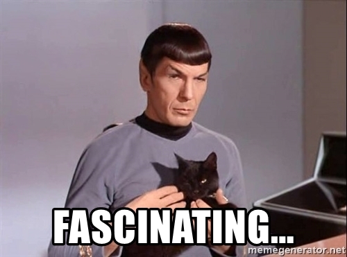 Image result for fascinating spock