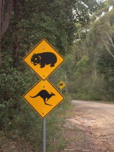 Australian road sign wombat, kangaroo
