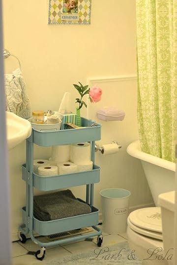 bathroom cart hacks for a super organized cartridge shower