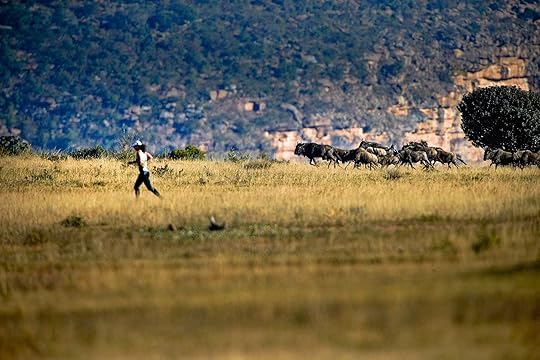 The Big Five Marathon