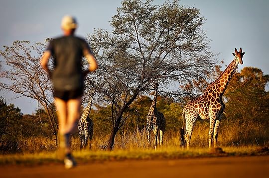 The Big Five Marathon