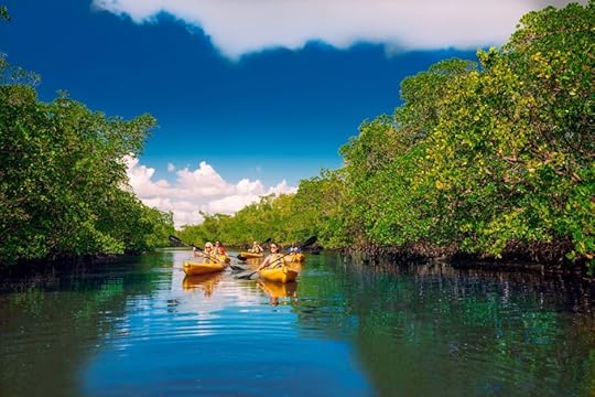 Kayaking Calusa Blueway Fort Myers Sanibel Florida