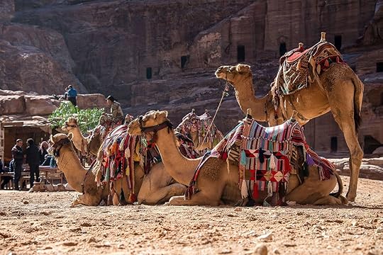Camels