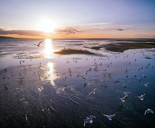 Mongolia sunset on lake