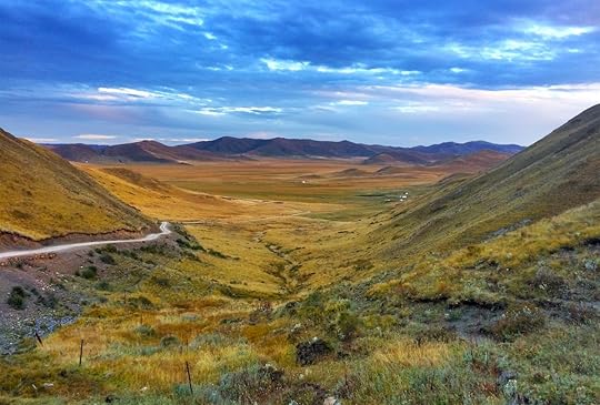 Looking for cats in Tibet