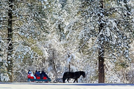Sleigh ride Leavenworth winter Brian Munoz