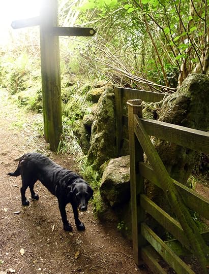 Begin at the crossroad.