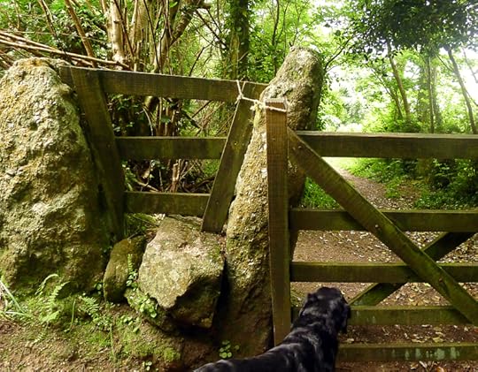 Go over the stile,