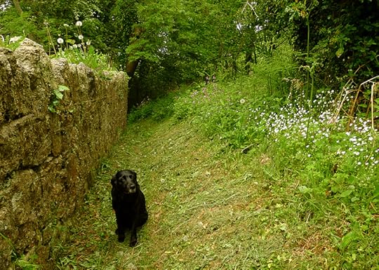 along the stone wall,