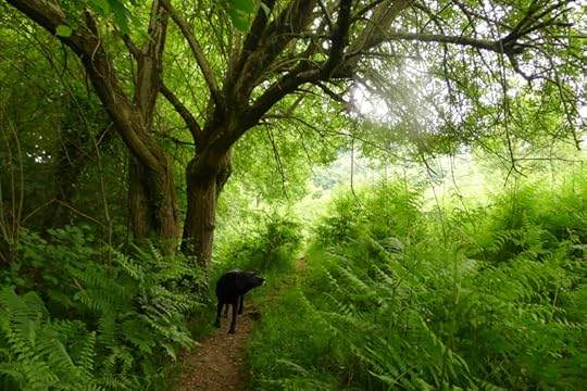 to the Secret Place.