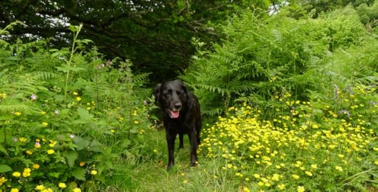 But don't stay too long, or you'll never return.