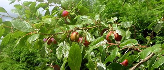 Don't eat the food. Don't drink the wine.