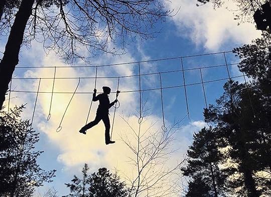 Tree top courses in Sussex