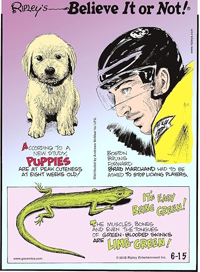 According to a new study, puppies are at peak cuteness at eight weeks old!-------------------- Boston Bruins forward Brad Marchand had to be asked to stop licking players.-------------------- The muscles, bones and even the tongues of green-blooded skinks are lime-green!