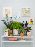 terra cotta pot upgrade