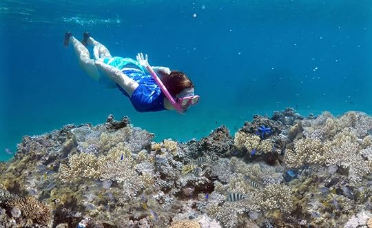 Young woman snorkeling underwater over a coral reef in a tropical resort on Vanua Levu Island, Fiji