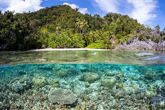 Beautiful corals grow on a shallow reef near a remote beach in Raja Ampat, Indonesia