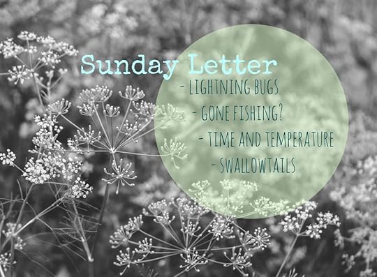Sunday Letter 