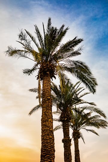 merilin-taimre-paljas-porgand-airbaltic-iisrael-tel-aviv-jeruusalemm-surnumeri-reis-puhkus-reisimine-blogi