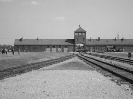 fde50-birkenau