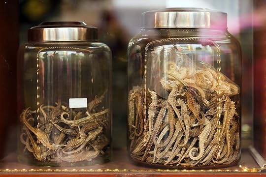 Dried seahorses China
