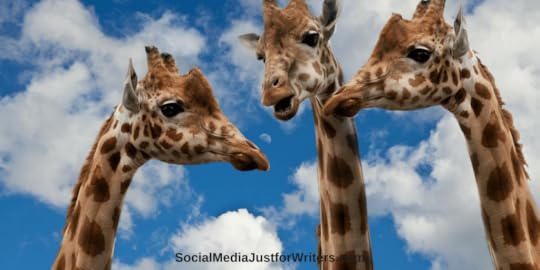 Tips to Networking on the Social Web