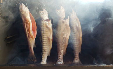 smoked trout