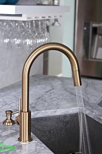 delta champagne bronze gold kitchen faucet spray widespread