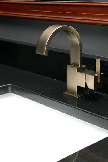 delta champagne bronze master bathroom remodel single handle lavatory faucet in toilet paper holder