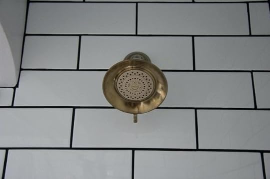 delta champagne bronze shower head traditional bathroom cabinet hardware