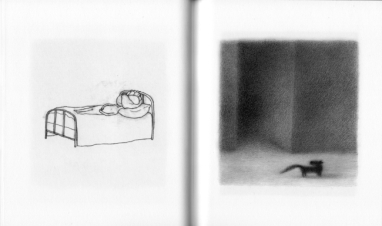 Image result for H Day (PictureBox 2010) by RenÃ©e French