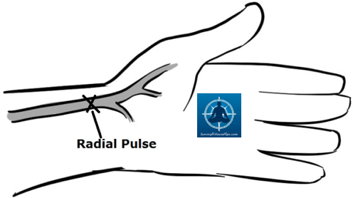 Emergency Roll 3 - First Aid DRABC - Danger and Response - Survival Fitness Plan Remote Area First Aid Training