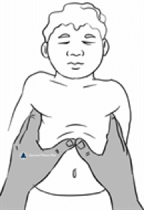 First Aid DRABC - Chest Compressions - How to do CPR 5 - Survival Fitness Plan Remote Area First Aid Training