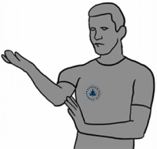 Tan Sao, Wing Chun Chi Sao Training, Survival Fitness Plan Self Defense Training