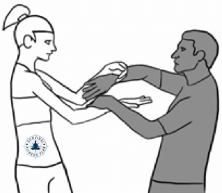 Luks Sao 1, Wing Chun Chi Sao Training, Survival Fitness Plan Self Defense Training