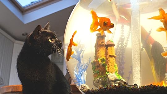 Image result for pbs nature pets wild at heart