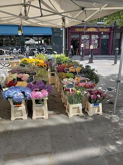 Image may contain: plant and flower