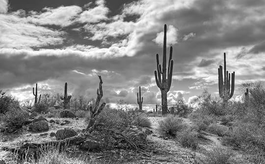 Image result for black and white desert