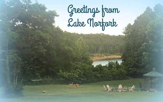 Sunday Postcard