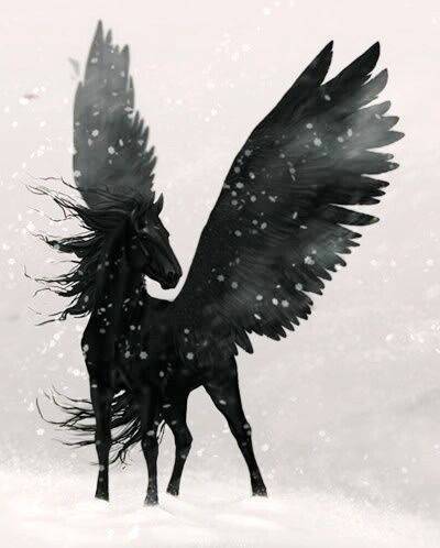  photo pegasus_zps5r2zgqzb.jpg