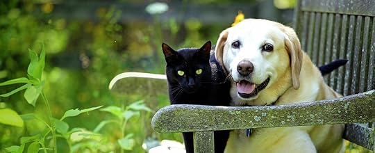 Image result for pets